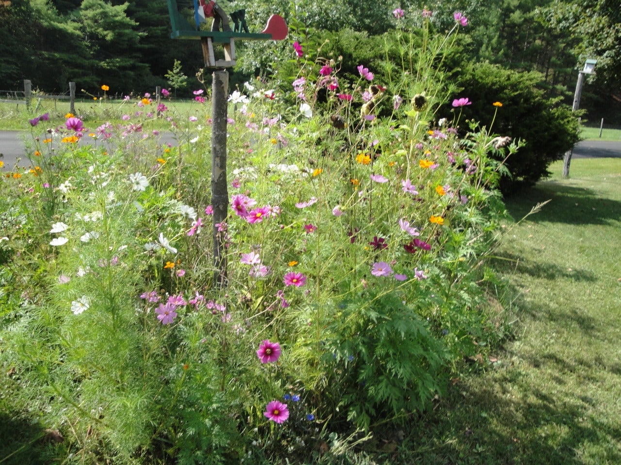125 Rr 1 Dunmore, WV 24934 - Photo 15 of 41 Gorgeous Flowers