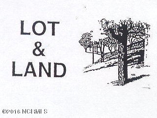 10630 McKenzie Road Bailey, NC 27807 - Photo 2 of 2 LOTS AND LAND