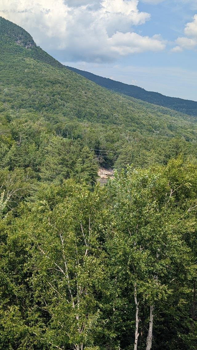 90 Loon Mountain Road, Unit 1157A Lincoln, NH 03251 - Photo 23 of 50