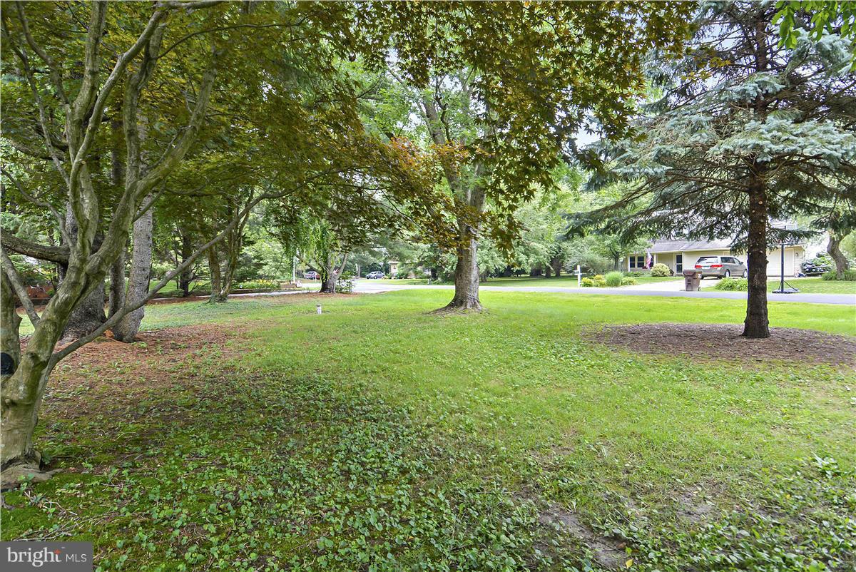 107 Rutledge Road Queenstown, MD 21658 - Photo 2 of 30 Front yard