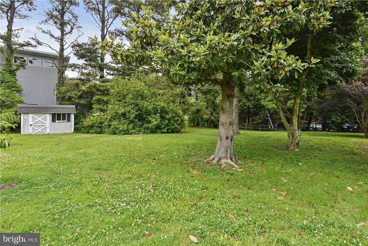 107 Rutledge Road Queenstown, MD 21658 - Photo 27 of 30 Backyard