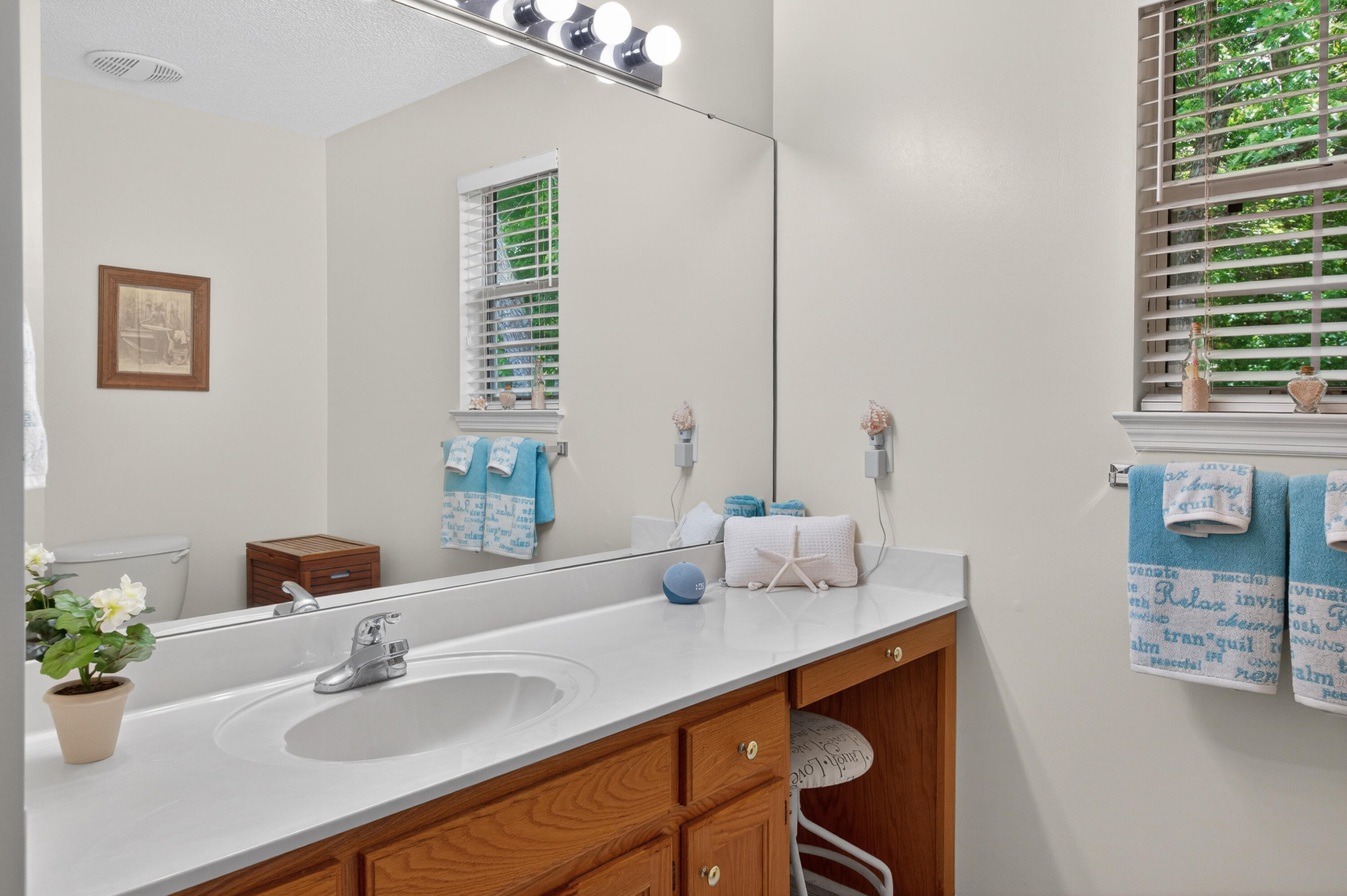 5696 Edgmon Road Ooltewah, TN 37363 - Photo 21 of 39 Large ensuite bath