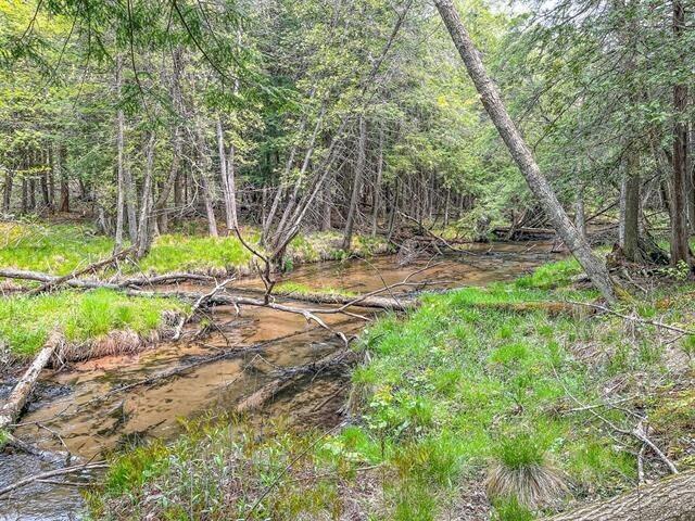 West Road Harrietta, MI 49638 - Photo 7 of 12 Gallery Image 7
