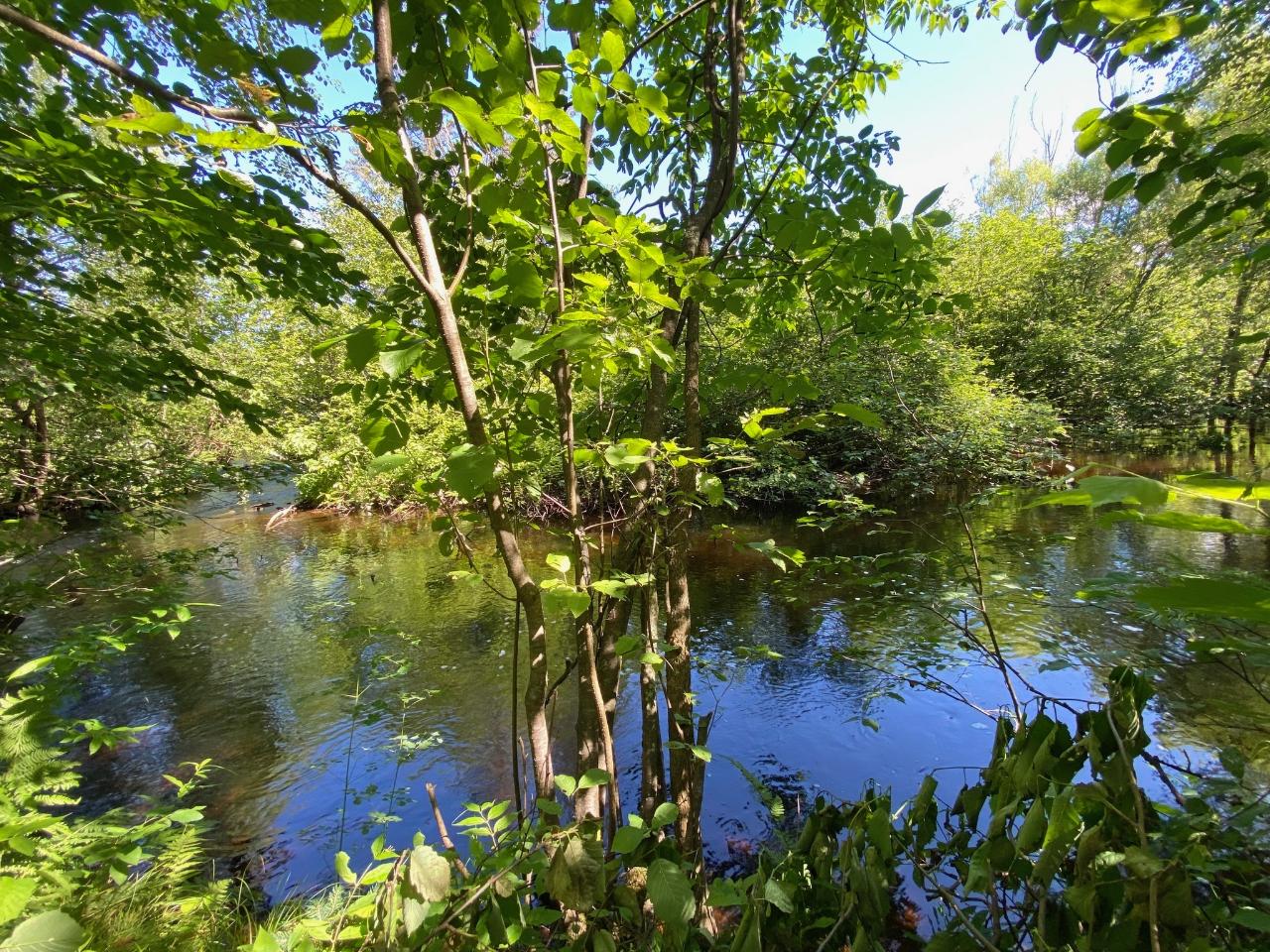 W2142 Axen Road Gleason, WI 54435 - Photo 10 of 50 Gallery Image 10