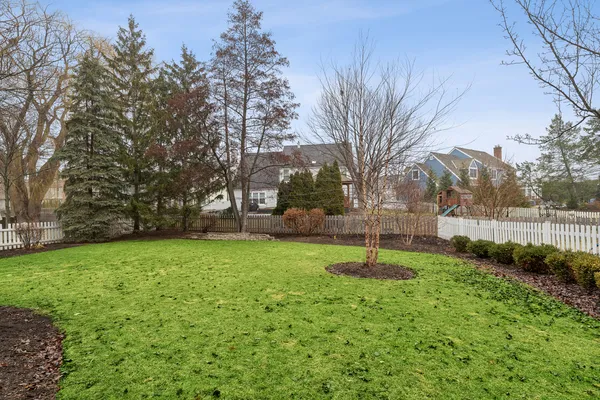 a garden with lots of trees