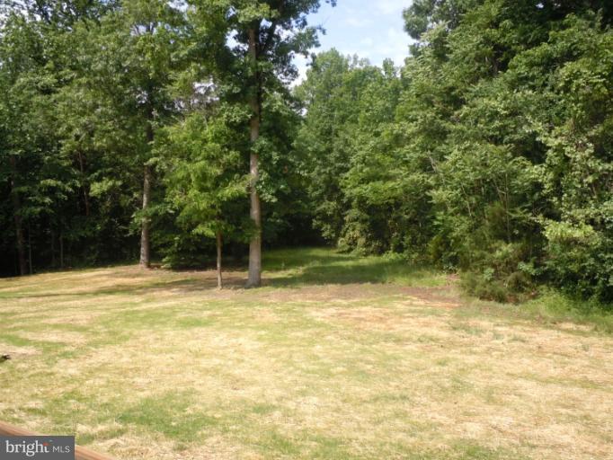 201 Deacon Road Fredericksburg, VA 22405 - Photo 7 of 30 Exterior (General) rear yard
