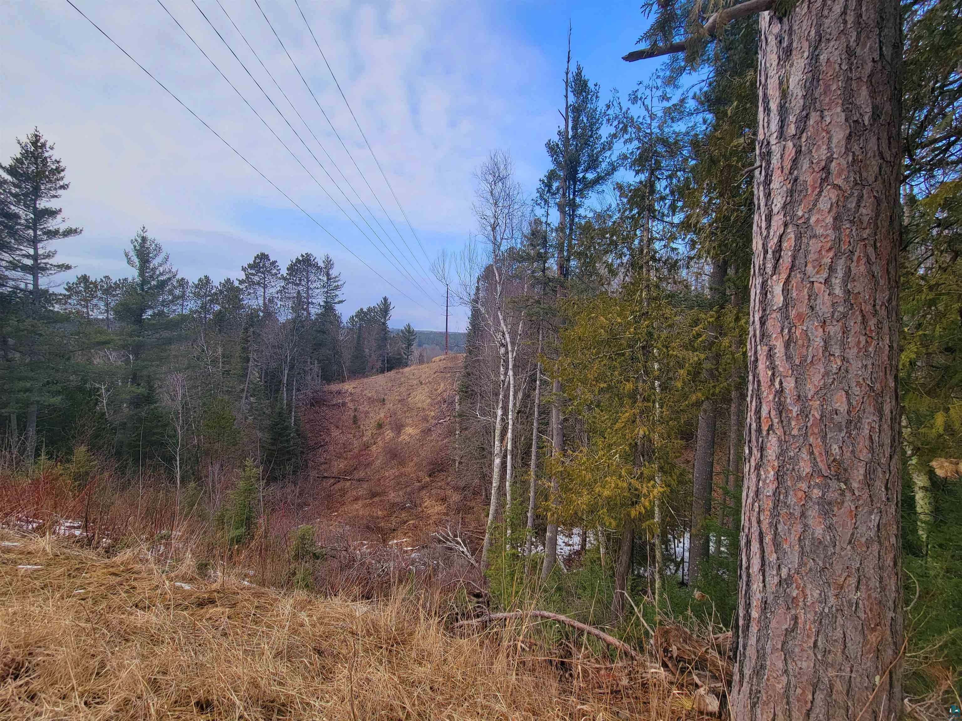 View of nature featuring a wooded view