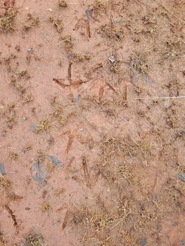 $109,900 | 787-xx Komborski Road, Washburn, WI 54891