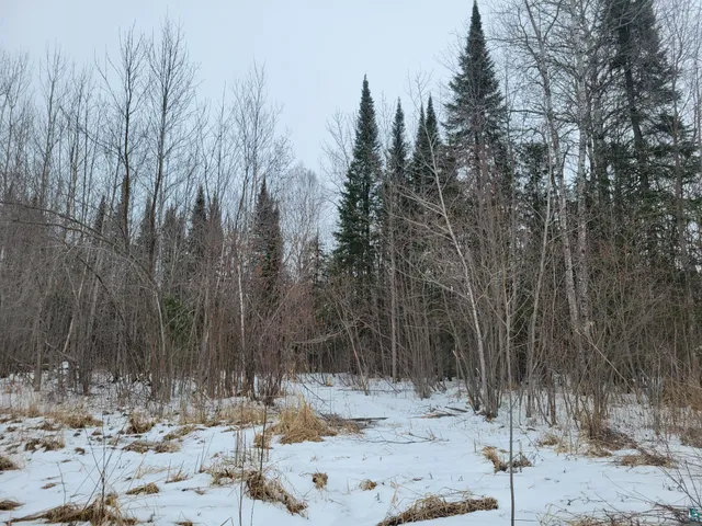 $109,900 | 787-xx Komborski Road, Washburn, WI 54891