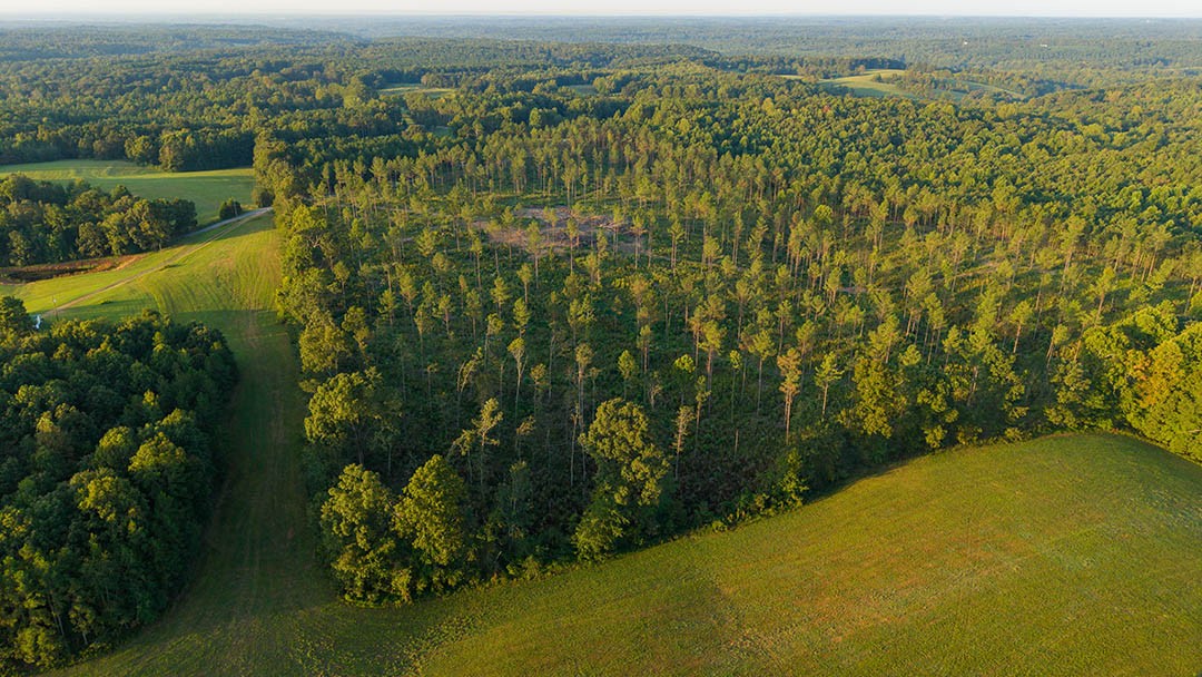 1 Gilchrist Road Cypress Inn, TN 38452 - Photo 3 of 22 Gallery Image 3