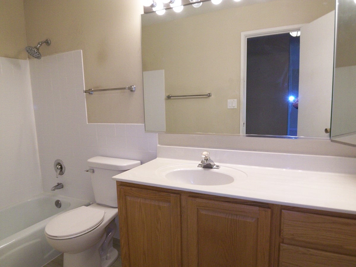 1227 South Old Wilke Road, Unit 306 Rolling Meadows, IL 60005 - Photo 13 of 24 a bathroom with a sink toilet and shower