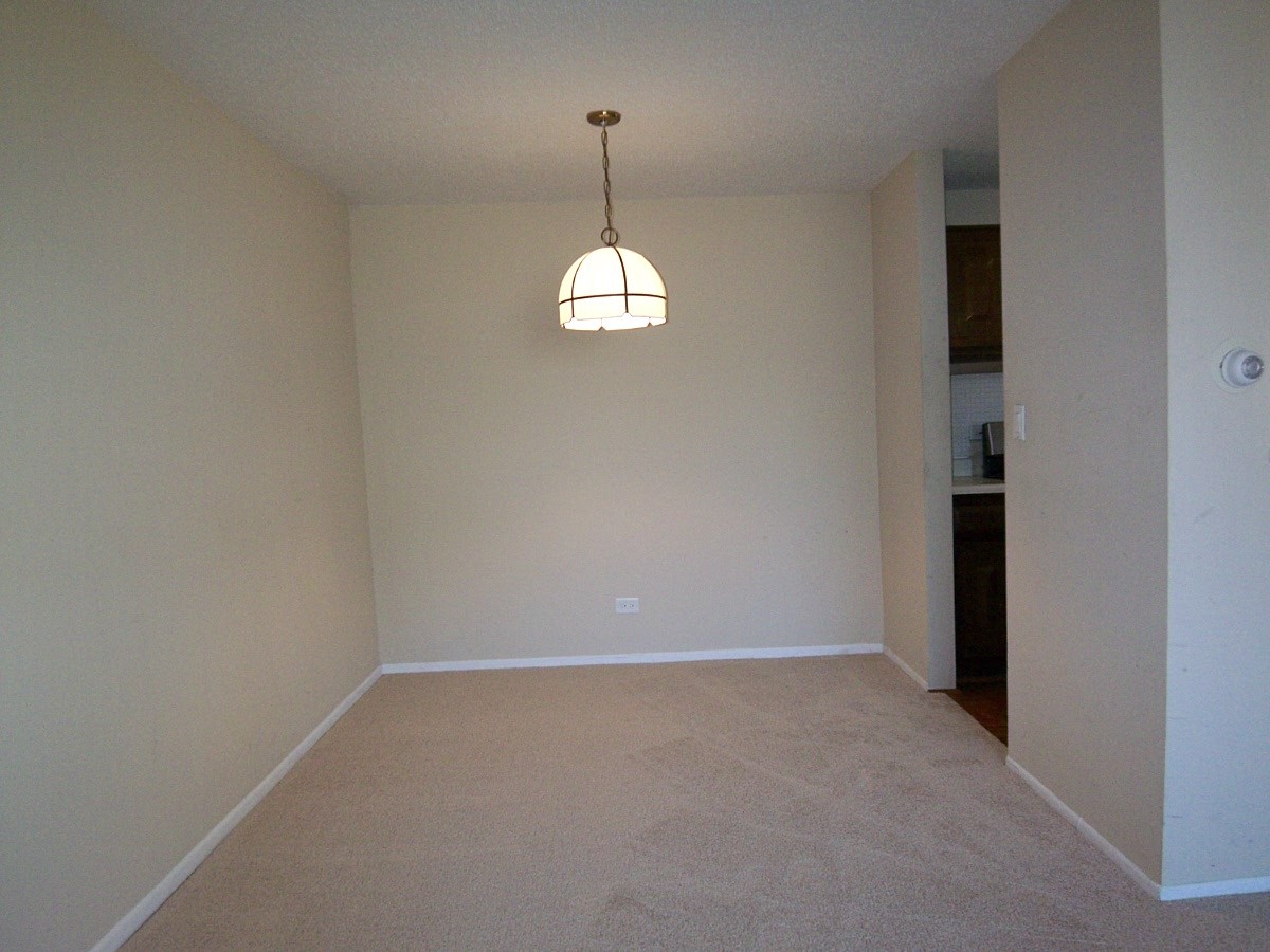 1227 South Old Wilke Road, Unit 306 Rolling Meadows, IL 60005 - Photo 5 of 24 an empty room with windows and ceiling fan