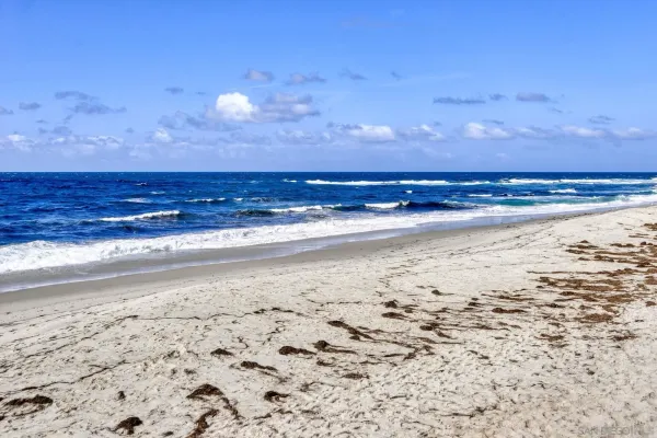 a view of beach and ocean