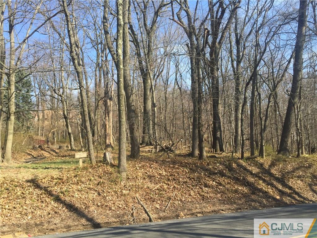 1254 Mt Horeb Road Bridgewater, NJ 08836 - Photo 1 of 7 Gallery Image 1