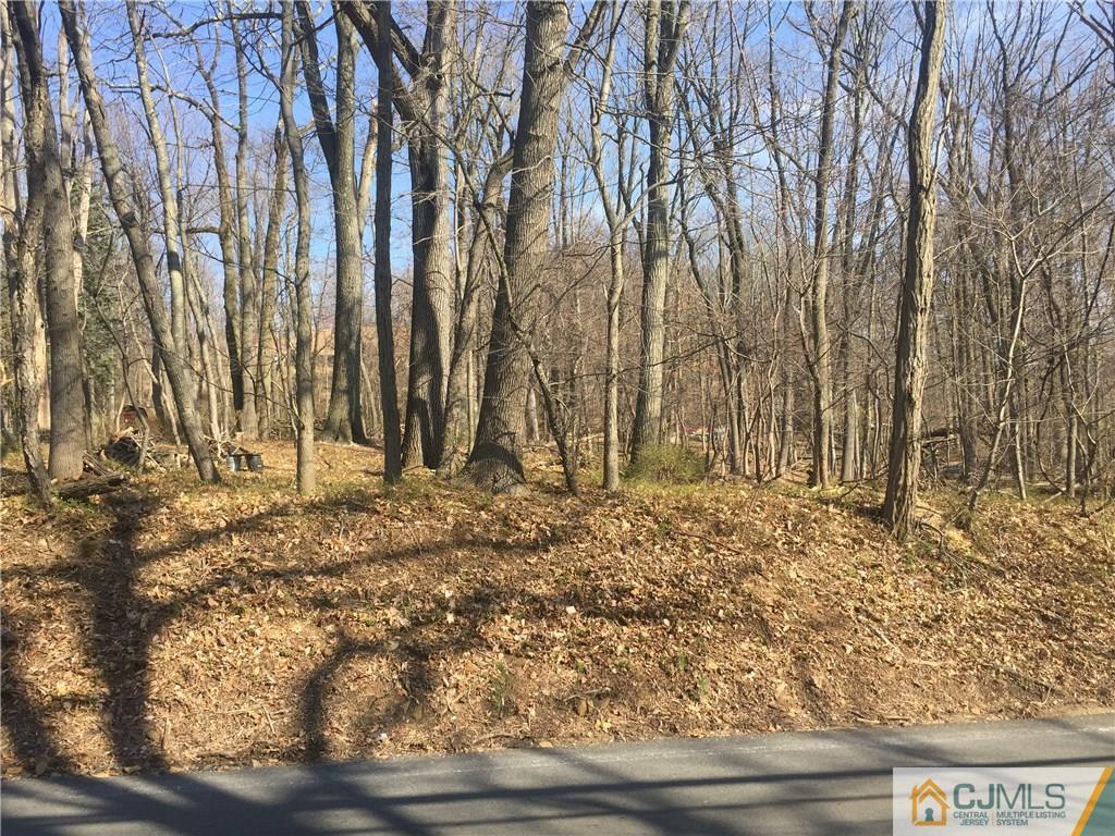1254 Mt Horeb Road Bridgewater, NJ 08836 - Photo 2 of 7 Gallery Image 2