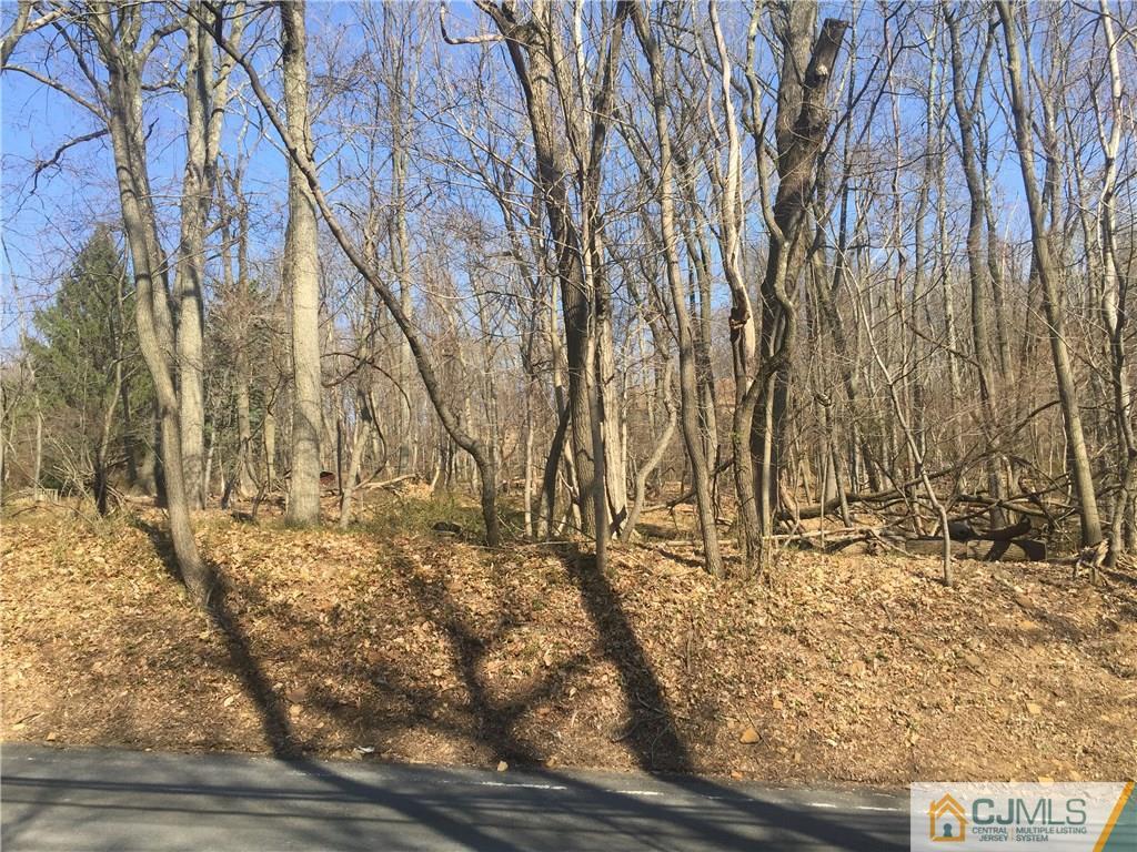 1254 Mt Horeb Road Bridgewater, NJ 08836 - Photo 3 of 7 Gallery Image 3