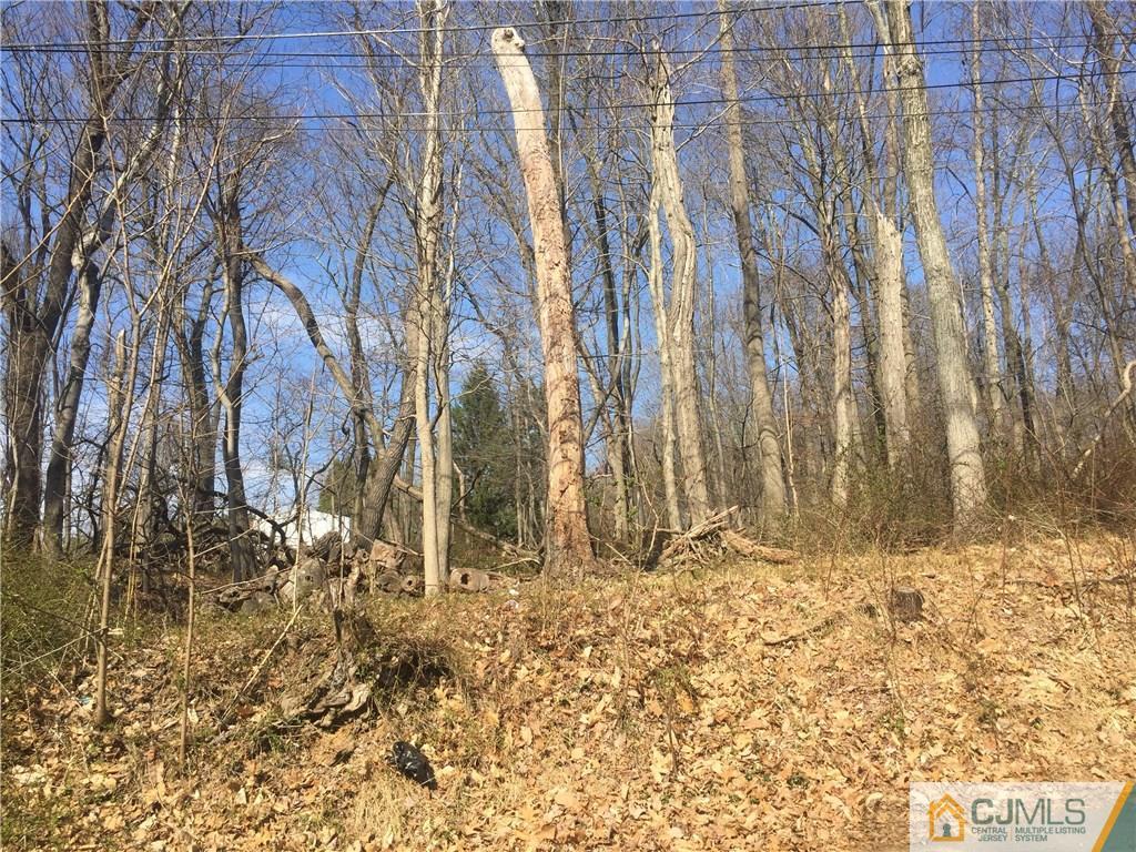 1254 Mt Horeb Road Bridgewater, NJ 08836 - Photo 4 of 7 Gallery Image 4