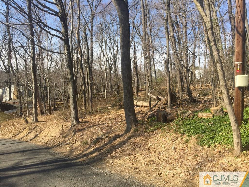 1254 Mt Horeb Road Bridgewater, NJ 08836 - Photo 5 of 7 Gallery Image 5