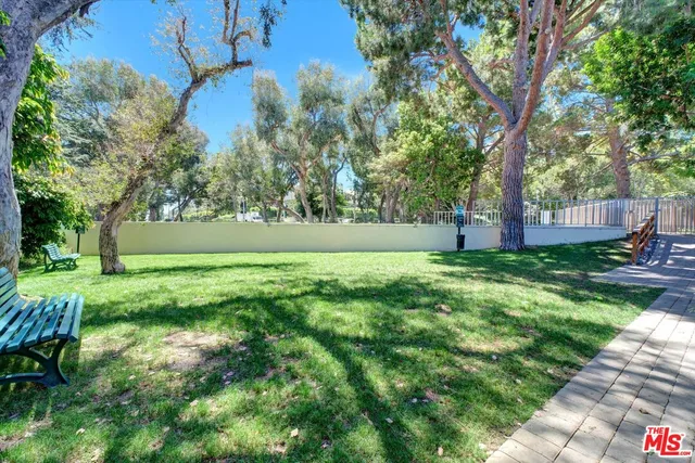 a view of yard with large trees