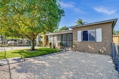 a view of a backyard with plants and large trees