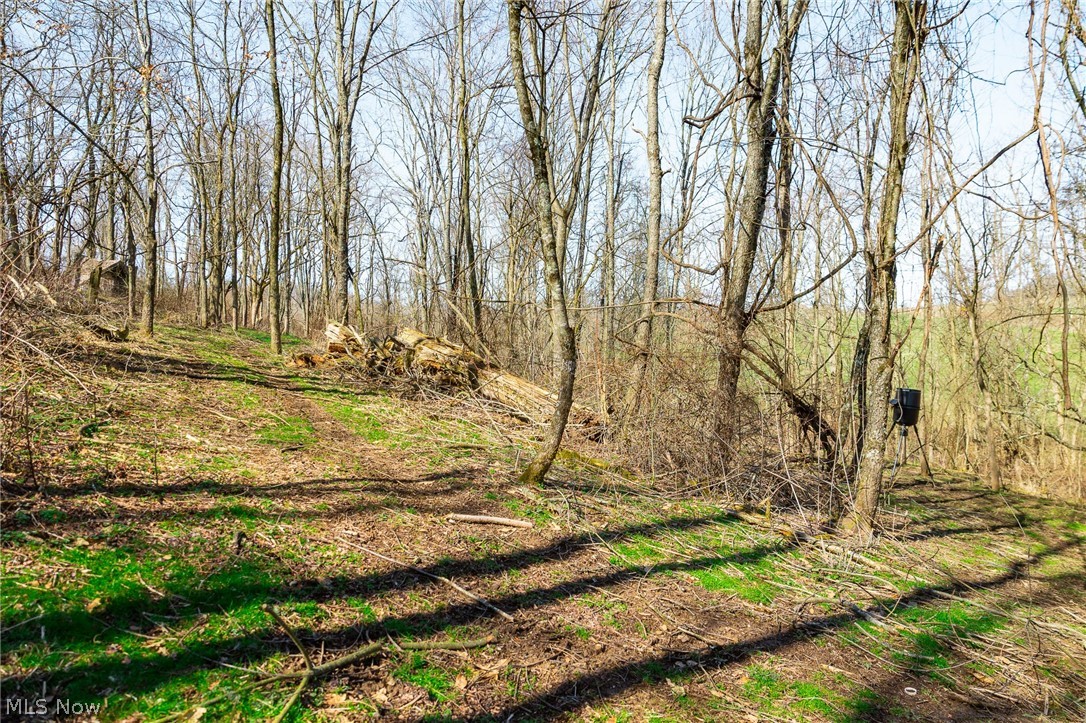 135 Township Road Adena, OH 43901 - Photo 18 of 47
