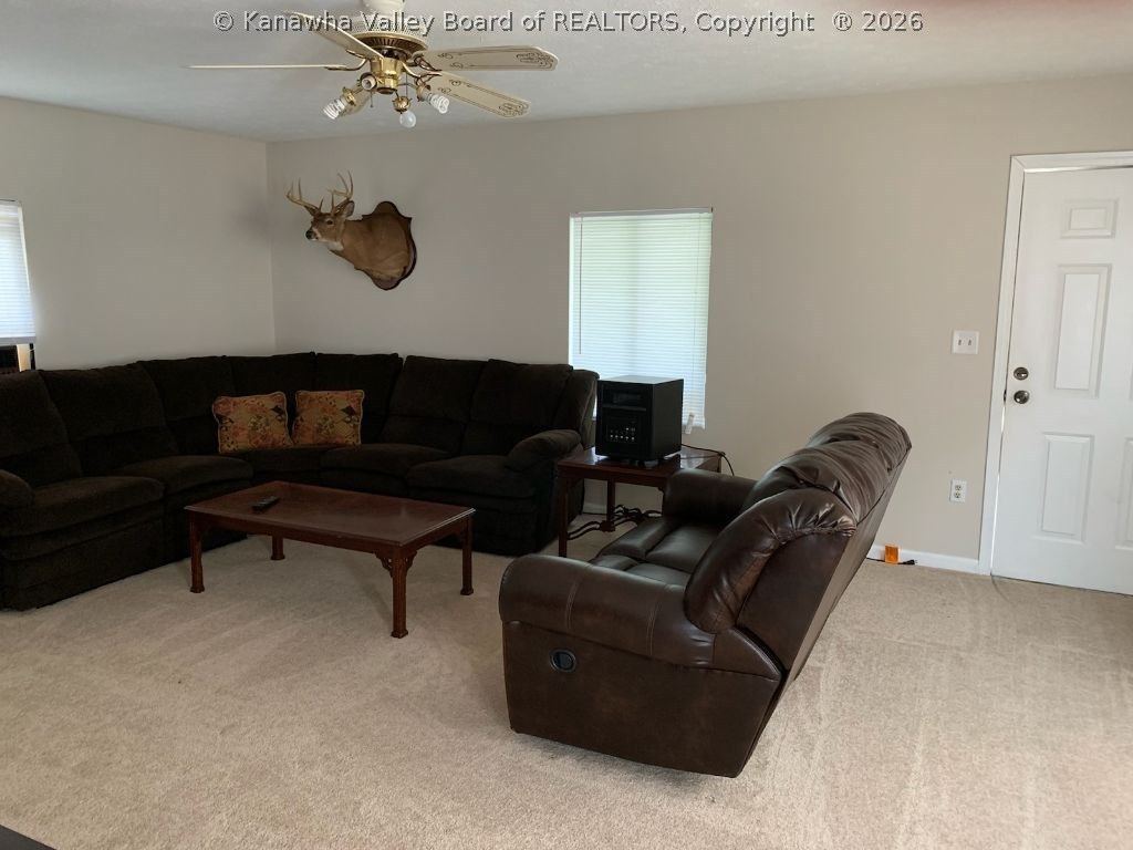 5185 Chandler Ridge Road Glenwood, WV 25520 - Photo 2 of 6 Gallery Image 2