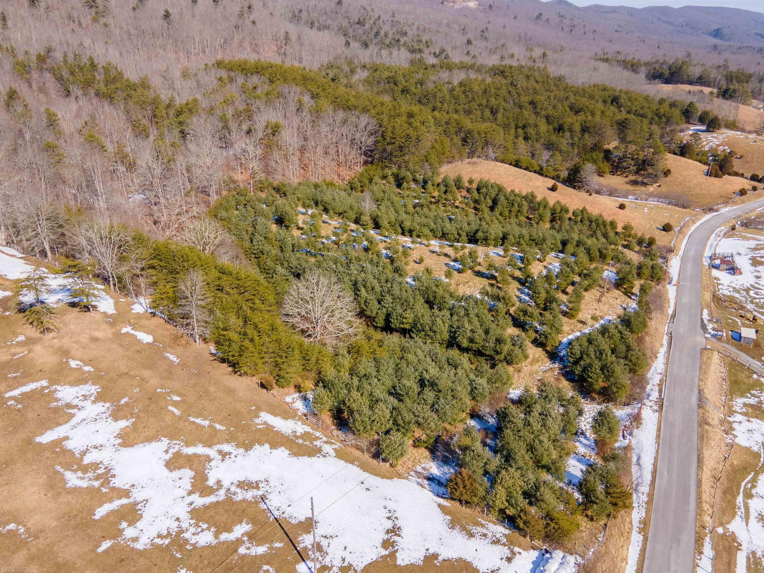 Tbd Wesendonck Road Bland, VA 24315 - Photo 11 of 19 Gallery Image 11