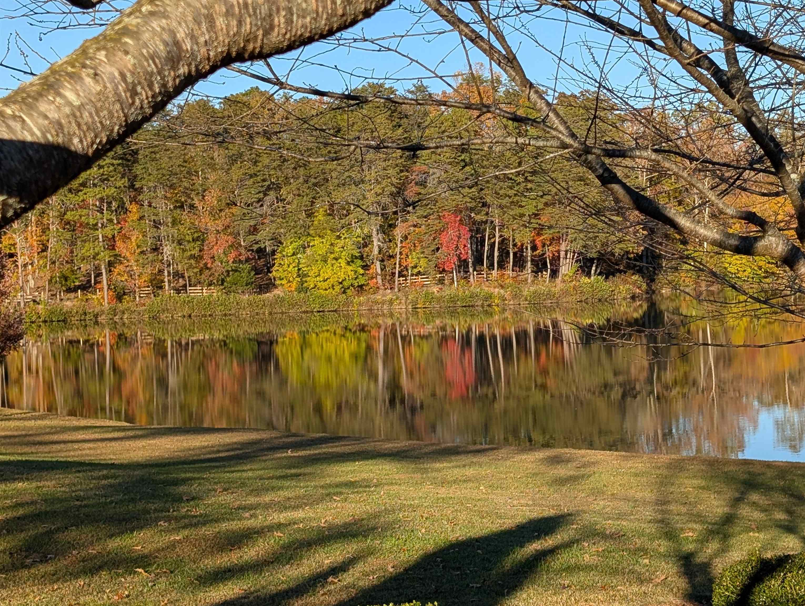 Lot 18 Mapleton Lane Tryon, NC 28782 - Photo 12 of 12