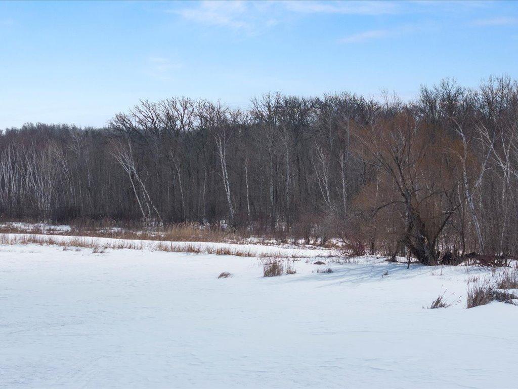 87 Backus Mn 56435 Backus, MN 56435 - Photo 7 of 29