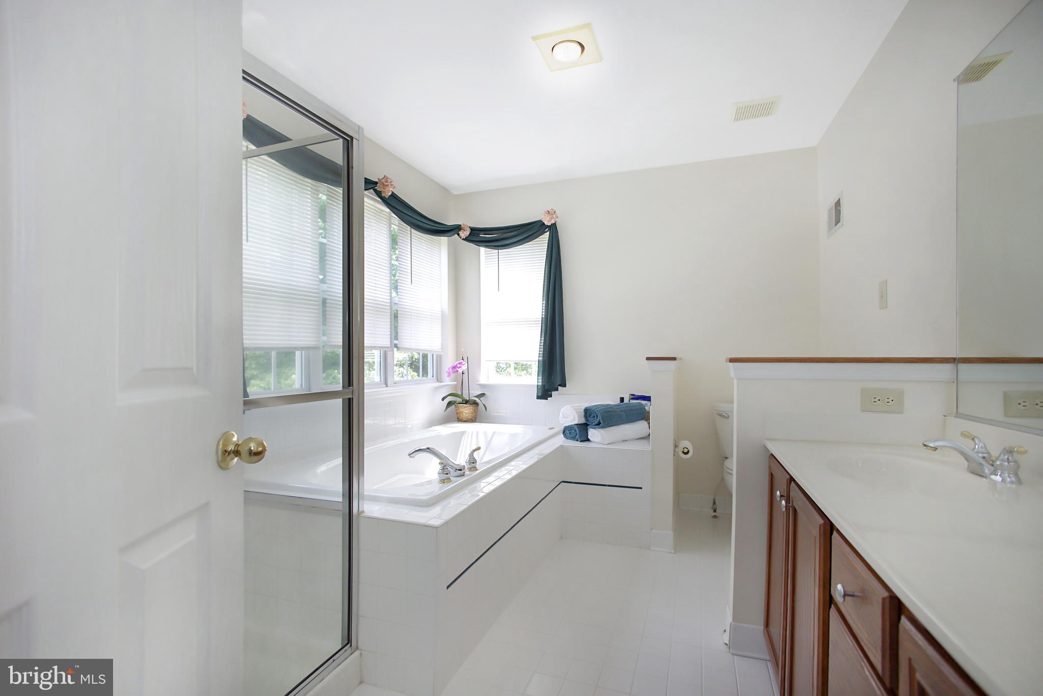 6008 Sandy Ridge Elkridge, MD 21075 - Photo 19 of 31 Primary Bathroom