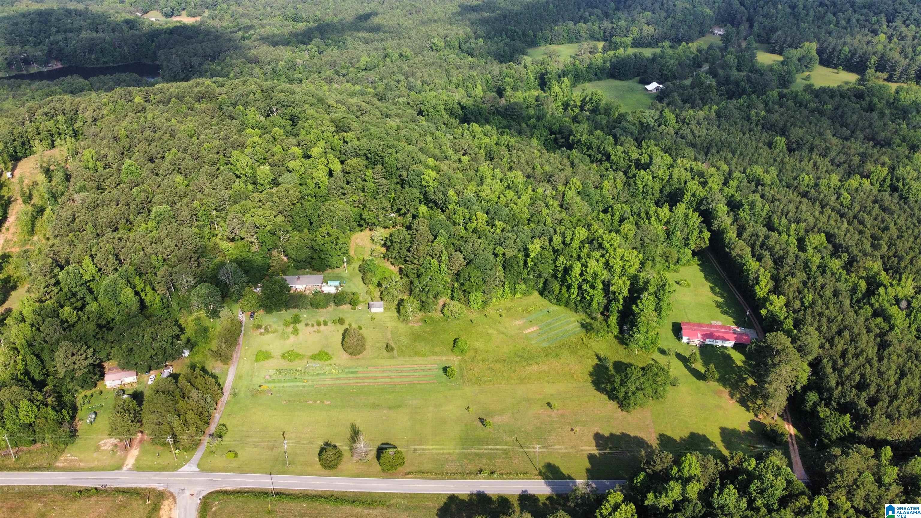 1505 Camp Creek Road Cropwell, AL 35054 - Photo 47 of 48