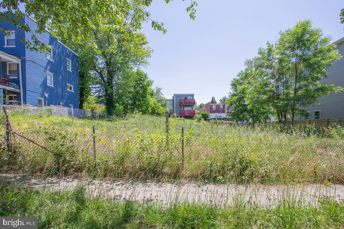 4419 Foote Street Northeast Washington, DC 20019 - Photo 2 of 13 a view of a garden with a lake