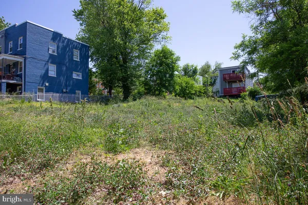 a view of a back yard