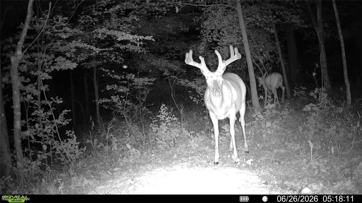 Norris Road Tippecanoe, OH 44699 - Photo 29 of 32