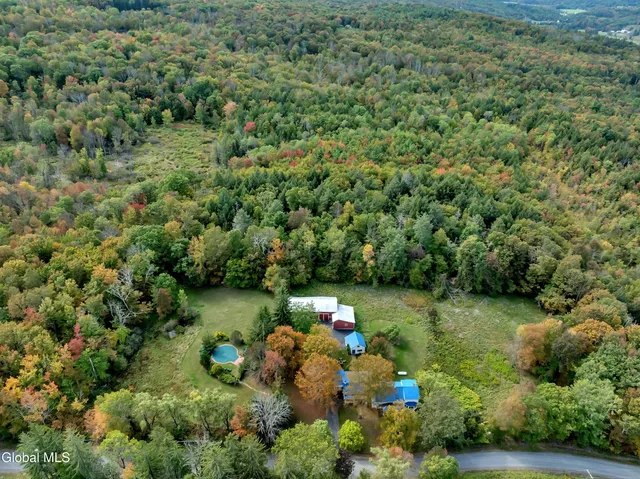 $935,000 | 161 Beaver Hill Drive, Gilboa, NY 12076