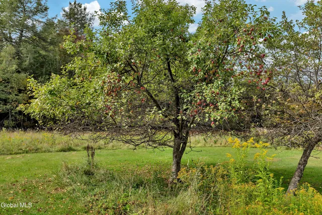 $935,000 | 161 Beaver Hill Drive, Gilboa, NY 12076