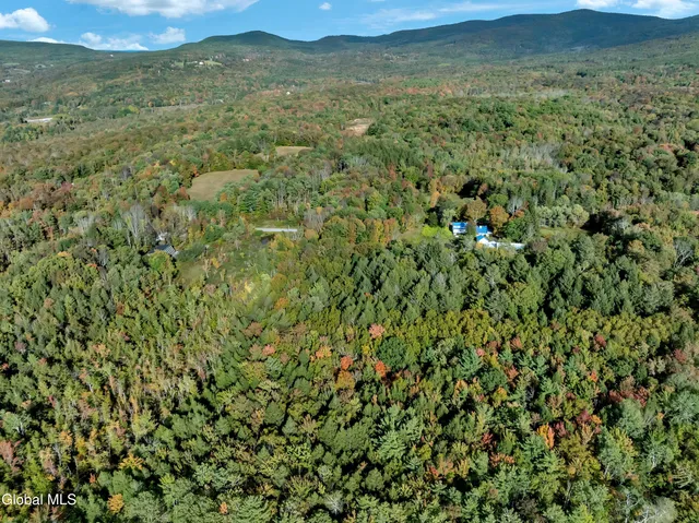 $935,000 | 161 Beaver Hill Drive, Gilboa, NY 12076