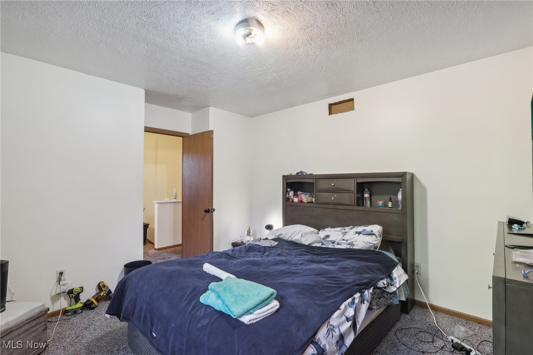 1042 Ansel Road Cleveland, OH 44103 - Photo 25 of 36 Carpeted bedroom featuring a textured ceiling
