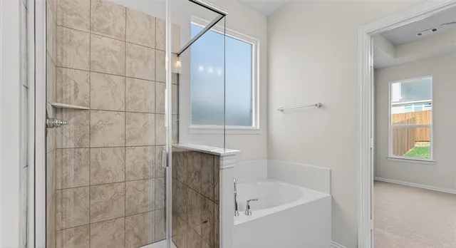 a bathroom with a bathtub and a shower