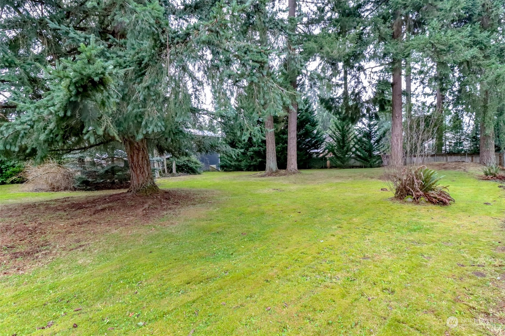 13045 166th Avenue Southeast Renton, WA 98059 - Photo 13 of 40 a view of a tree in a yard
