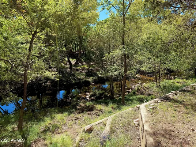 a view of outdoor space and covered with trees