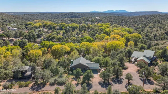 an aerial view of residential houses with outdoor space and trees