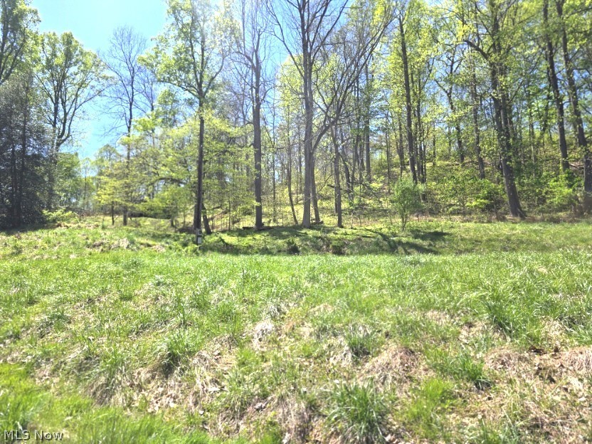 2361 Carpenter Run Road Waverly, WV 26184 - Photo 33 of 37