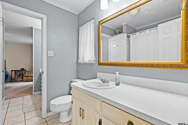 a bathroom with a sink a toilet and a large mirror