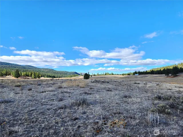 $72,000 | -tbd Tbd Aenaes Valley Road, Tonasket, WA 98855