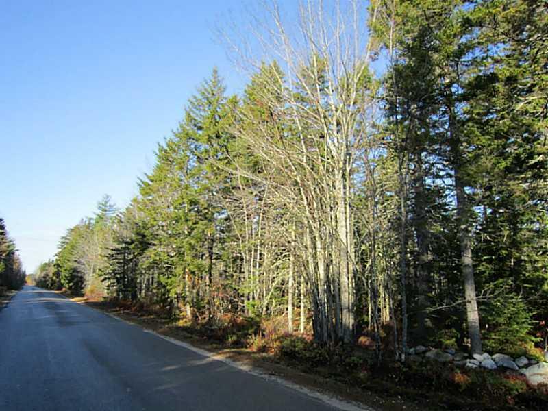 Lot Tbd Flye Point Road Brooklin, ME 04616 - Photo 4 of 14 Land.