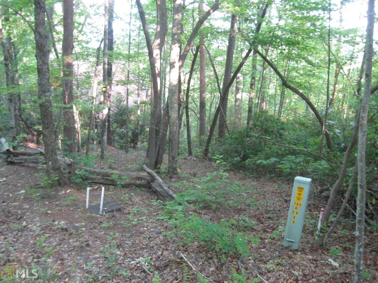 0 Cherry Lake, Unit 294 PH10 Blue Ridge, GA 30513 - Photo 1 of 1