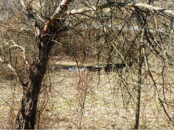 3144 Harvey Branch Road Oldenburg, IN 47036 - Photo 14 of 14