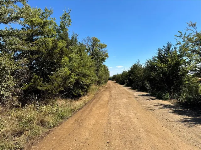 a view of a yard with plants and trees