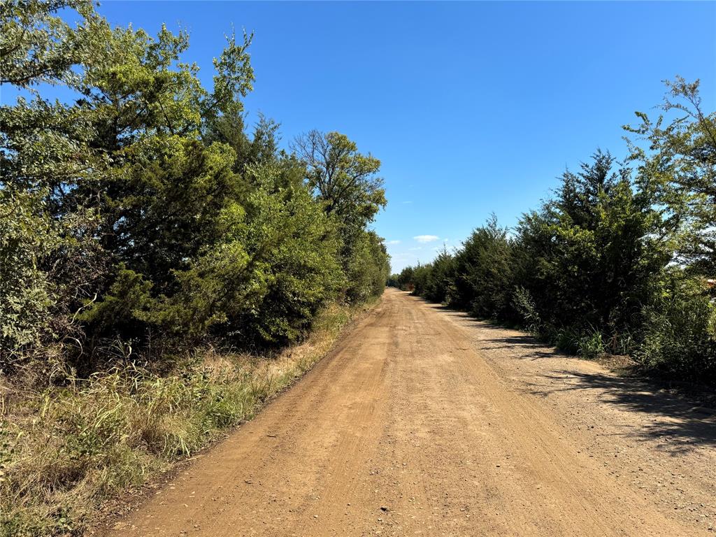 Tbd Old Bonham Road Paris, TX 75460 - Photo 3 of 9 a view of a yard with plants and trees
